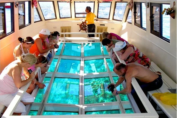 Glass-Bottom-Boat-Rides