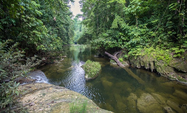 Whisper-wave-waterfall-little-andaman-go2andaman-06